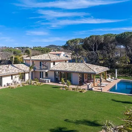 Palmiers Tropez *